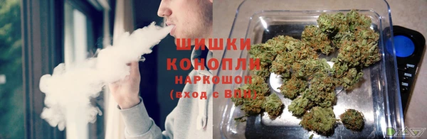 индика Семикаракорск