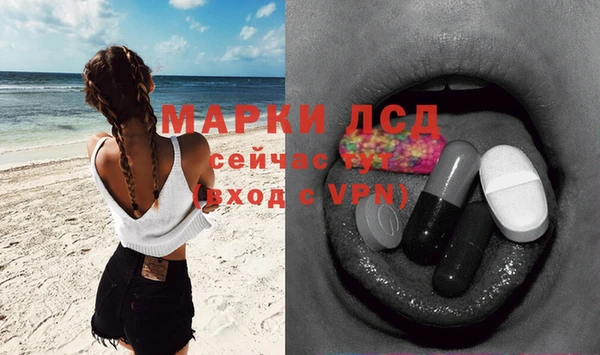 индика Семикаракорск