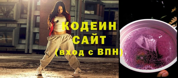 индика Семикаракорск