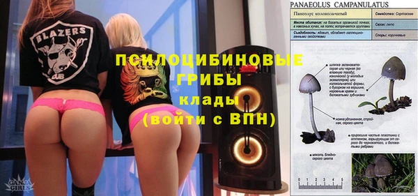 спайс Семёнов
