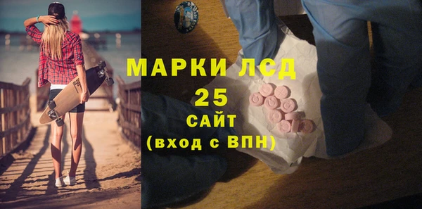 ПСИЛОЦИБИНОВЫЕ ГРИБЫ Вяземский