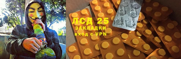 ПСИЛОЦИБИНОВЫЕ ГРИБЫ Вяземский