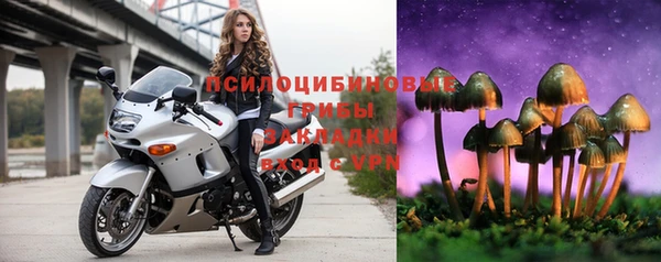 ПСИЛОЦИБИНОВЫЕ ГРИБЫ Вяземский